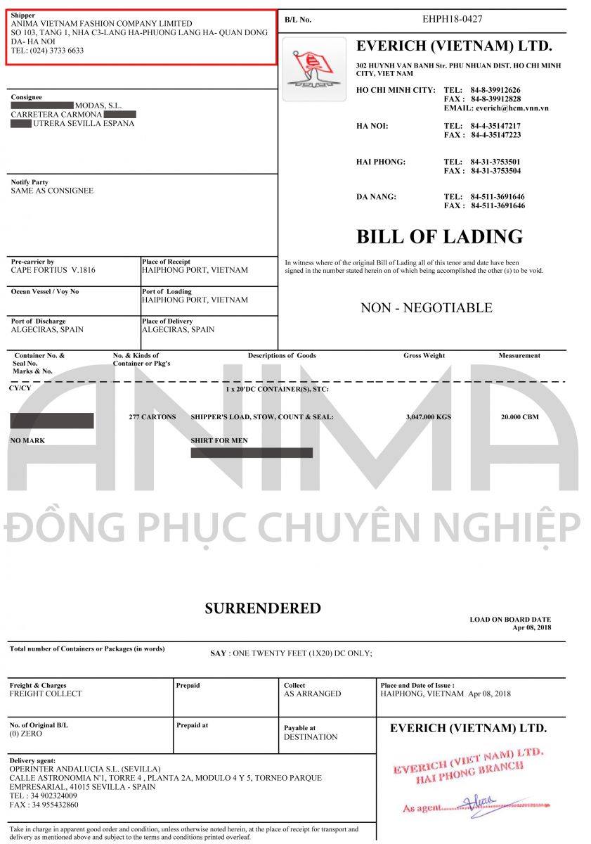 Bản nhápCelopman